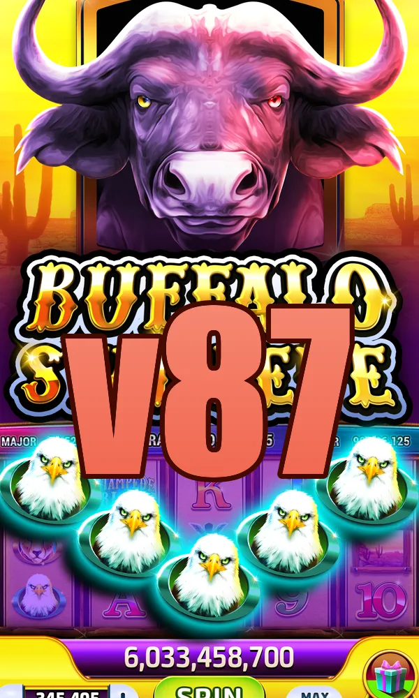 v87 Akses